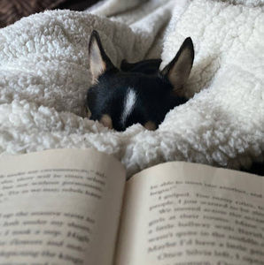 Meet your Posher, Jessa